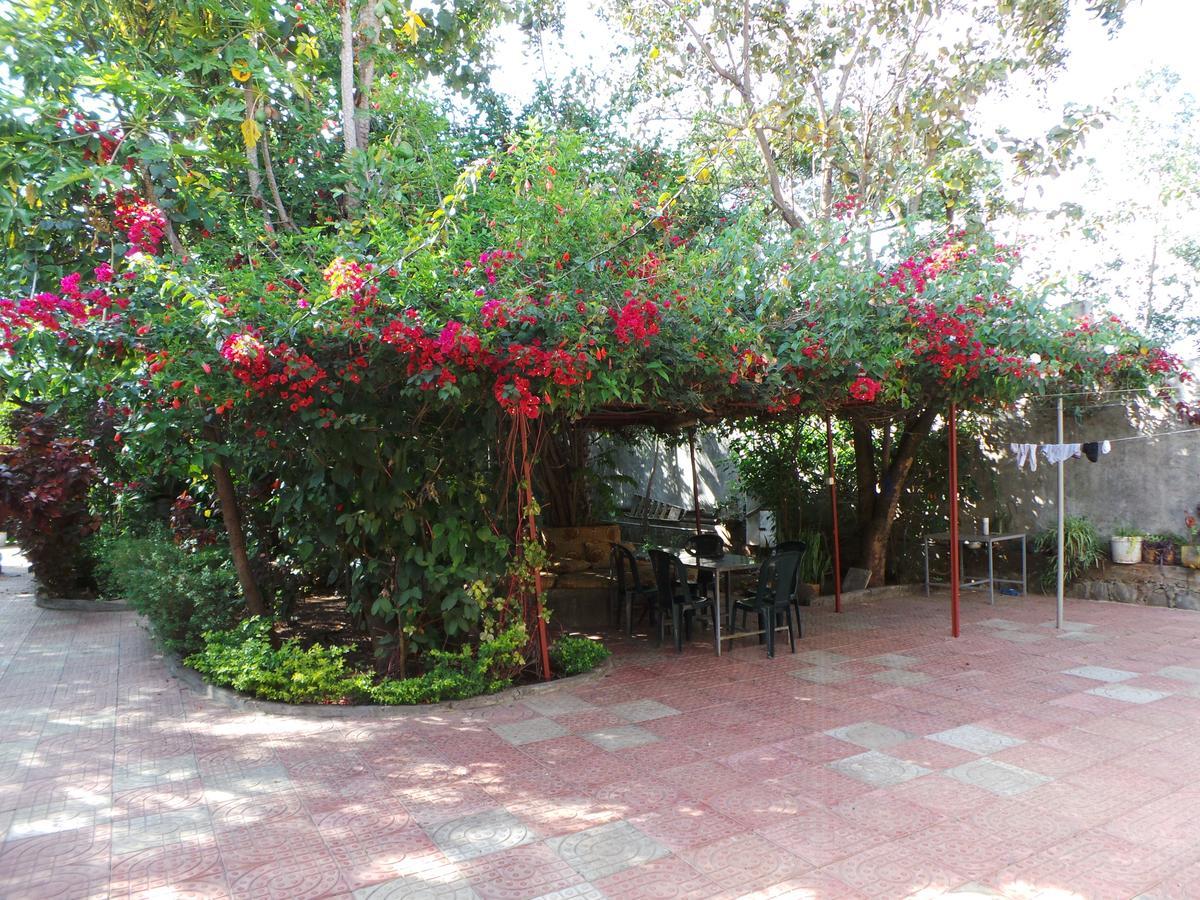 B&B The Annex Bahir Dar Exterior foto